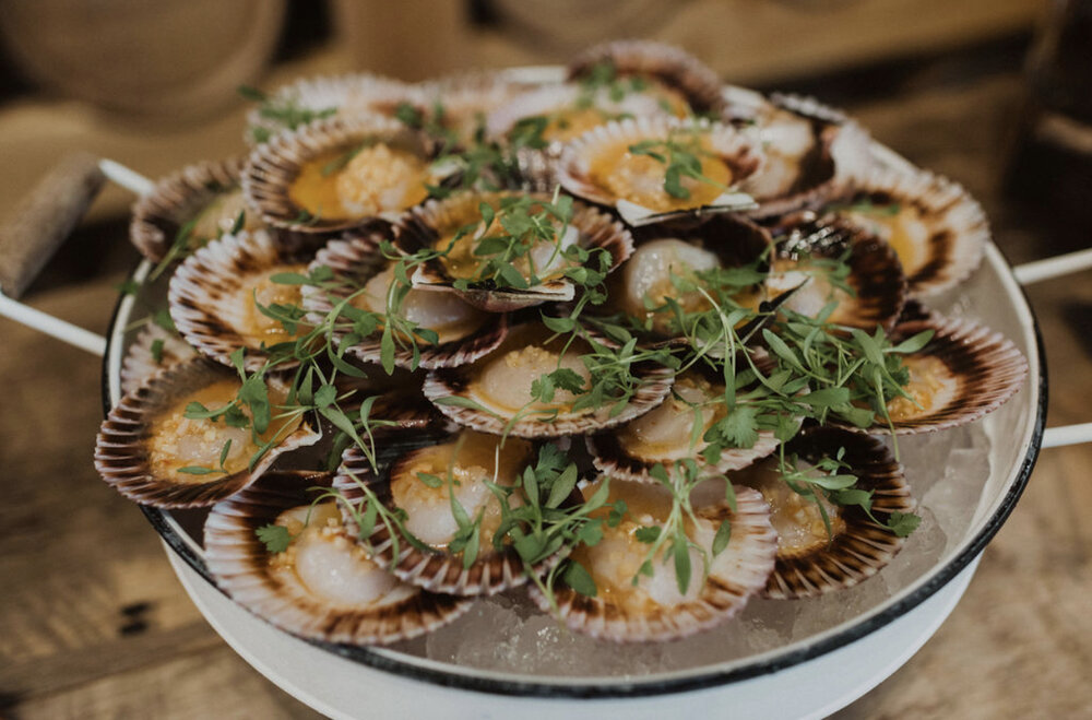 Catered scallops plated